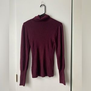 Ann Taylor Turtleneck Sweater